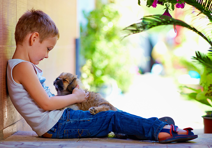 Kid and puppy playing